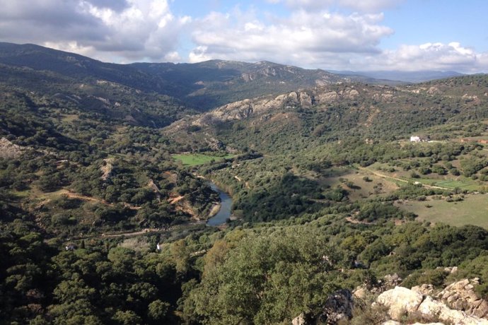 Parque Natural de Los Alcornocales, en la provincia de Cádiz