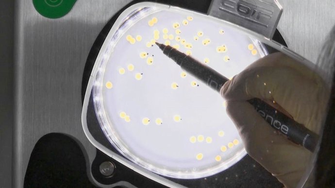 El Consell financia el desarrollo de baldosas cerámicas que eliminan virus y evitan contagios por covid