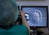 Foto: La fecundación 'in vitro' con óvulos donados reduce un 21% el riesgo de aborto en mujeres de más de 35 años