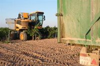 Asaja exige que se elimine la expropiación de tierras de la Ley de Agricultura Familiar de Castilla-La Mancha