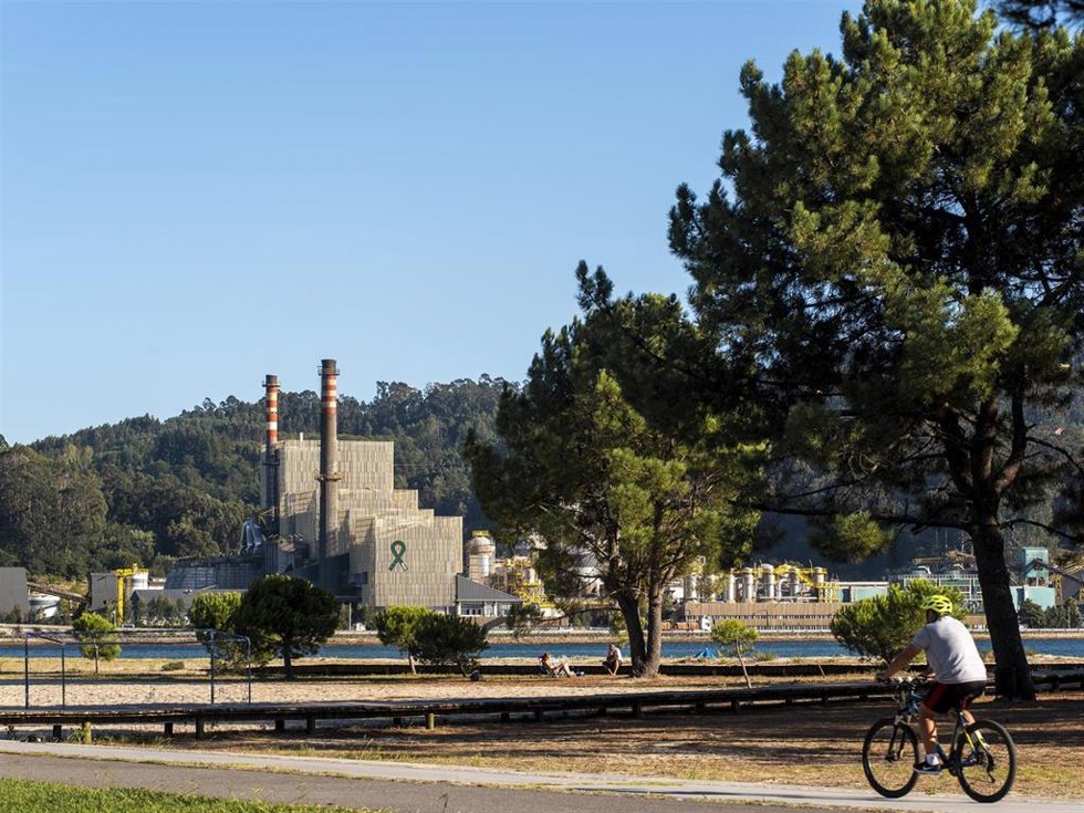 Archivo - El alcalde de Pontevedra insta a la Xunta y Ence a "recapacitar" y buscar una "alternativa" para mantener el empleo