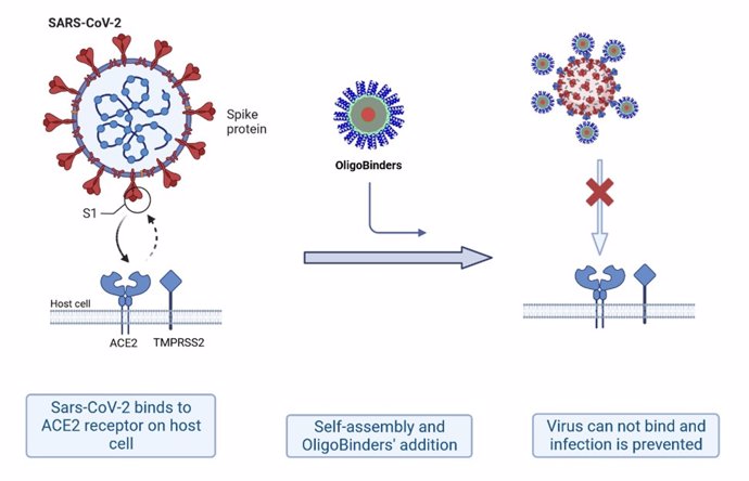 Ilustración sobre cómo actúan las nanopartículas
