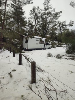 Autocaravana atrapada por la nieve y un árbol caído en la Serra.