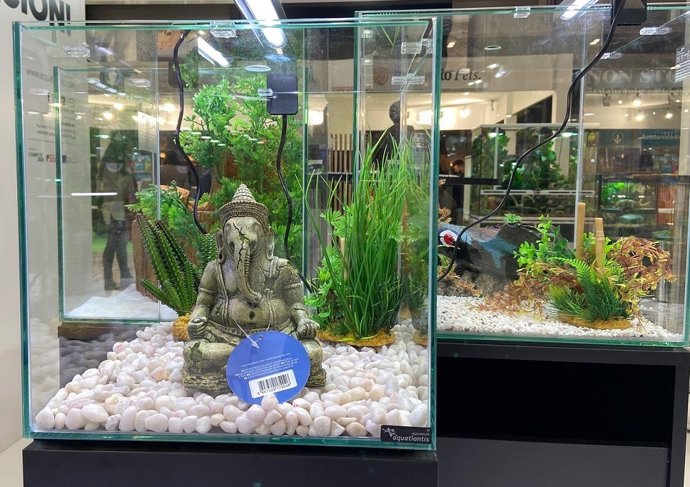 Aquatlantis en Iberzoo +Propet