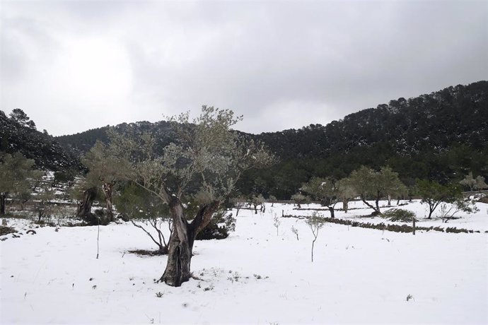 Archivo - Restos de nieve en en la Serra de Tramuntana.
