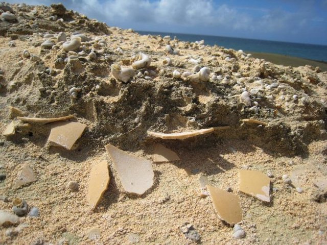 Superficie de cáscara de huevo de Aepyornis expuesta por la erosión eólica activa de las dunas de arena en las que anidaban las aves.