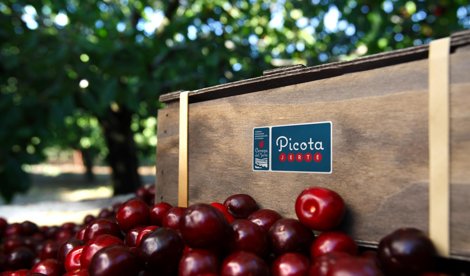 Comunicados Sociedad