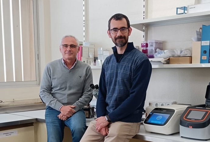 Imagen de los investigadores Victoriano Garre (izq) y Sergio López (dcha) en laboratorios de la UMU