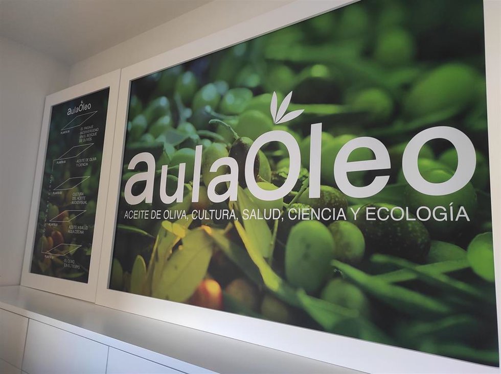 Archivo - Centro de interpretación del aceIte de oliva en una cooperativa.