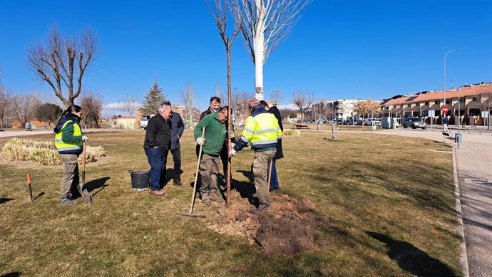El alcalde de Cuenca supervisa la plantación de árboles.