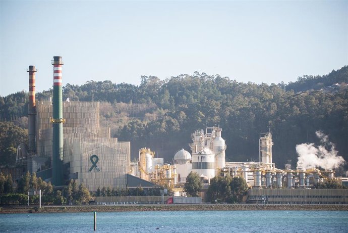 El complejo industrial de Ence en la Ría de Pontevedra.