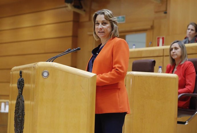 Archivo - La senadora del PSOE de La Rioja María Victoria de Pablo Dávila, en el Senado