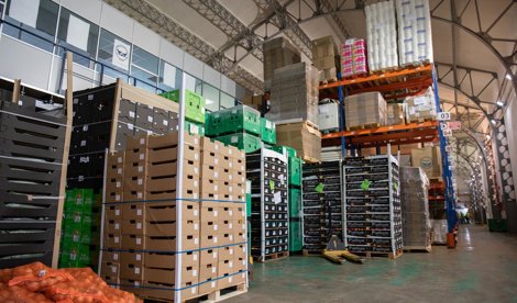 Cooperación y Desarrollo