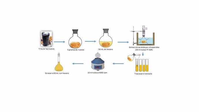 Funcionamiento del método analítico para medir los compuestos antioxidantes presentes en la nuez, estudiados por investigadores de la Universidad de Cádiz