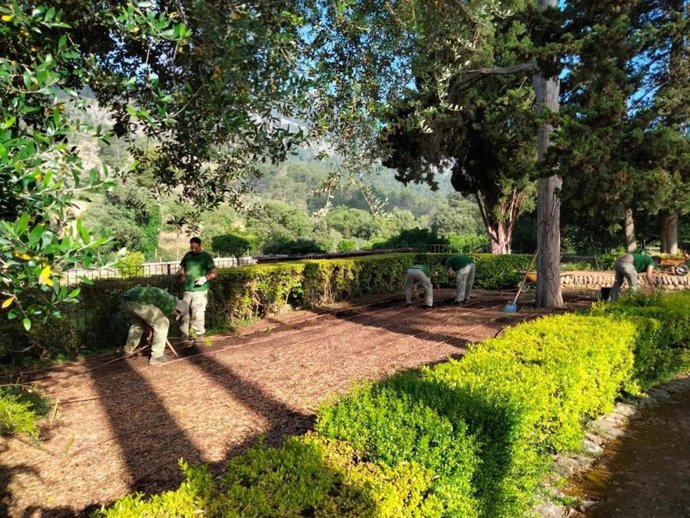 Archivo - Jardín en Mallorca. 