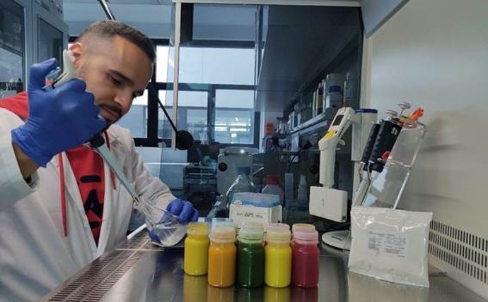 Archivo - El CSIC desarrolla bebidas probióticas con una bacteria procedente de la aceituna de mesa