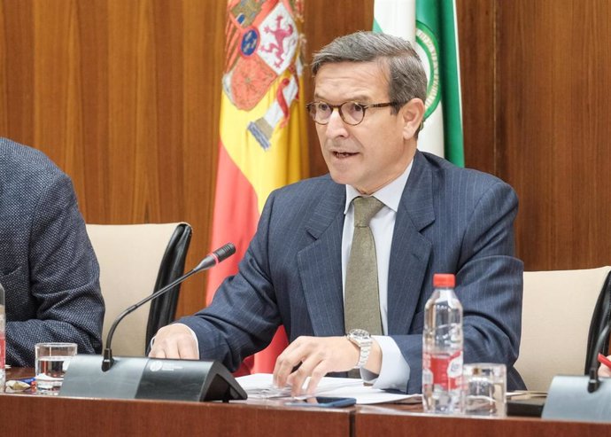 El consejero de Política Industrial y Energía, Jorge Paradela, en comisión parlamentaria.