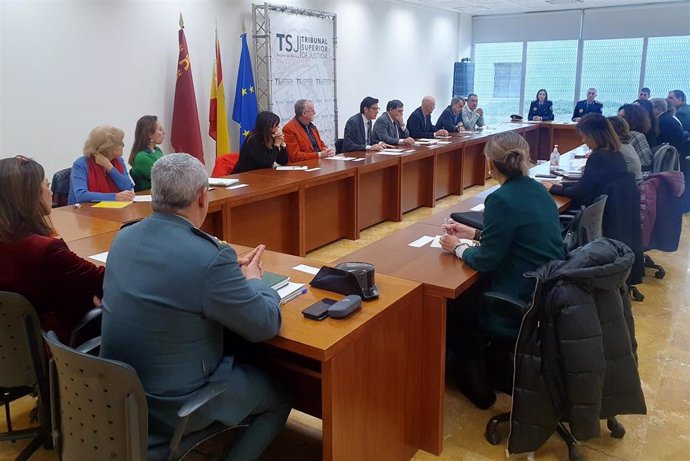 Ndp Tsjmu La Audiencia Pone En Marcha La Comisión Provincial De Violencia De Género De Murcia