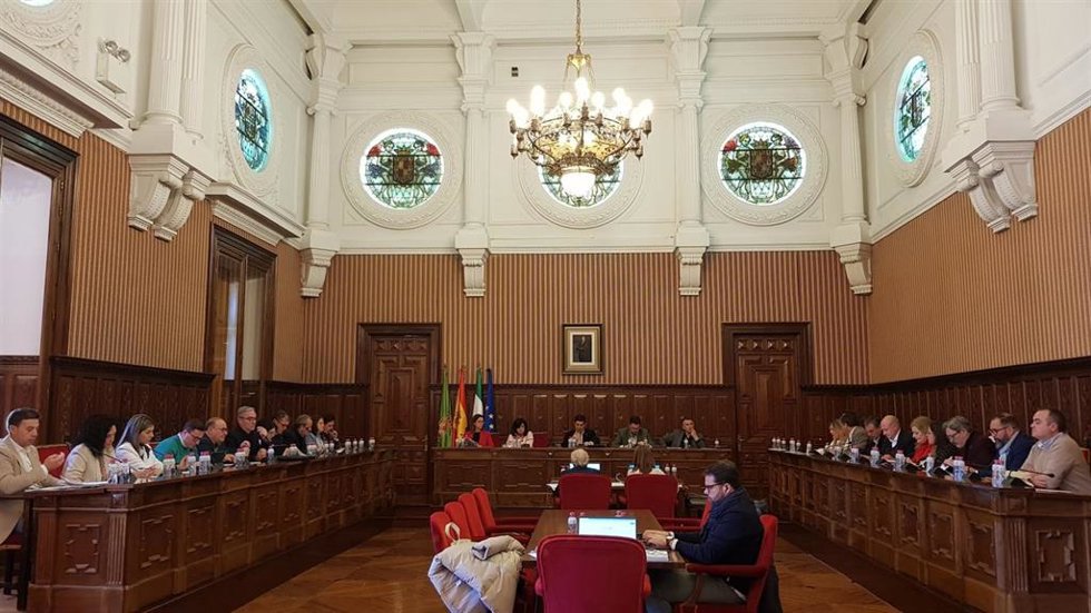 Pleno de la Diputación