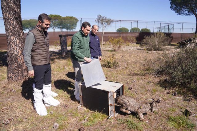 El presidente de la Junta, Juanma Moreno, asiste a la la suelta de la lince Dama, acompañado del consejero de Sostenibilidad, Medioambiente y Economía Azul, Ramón Fernández-Pacheco.