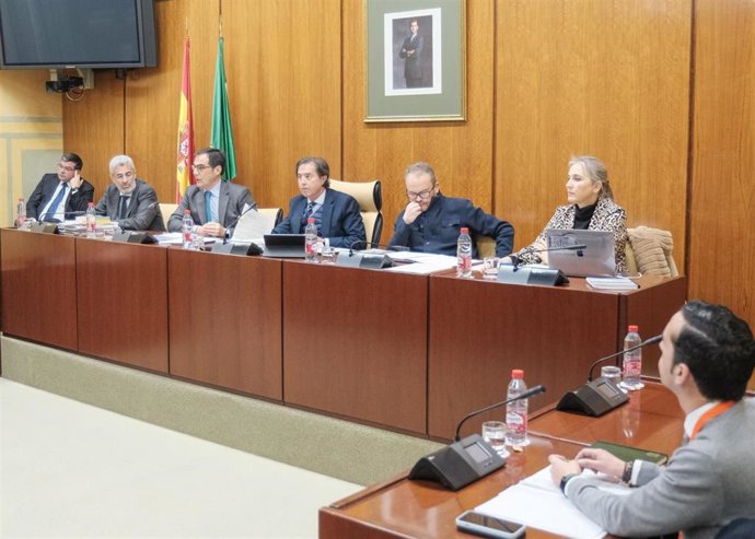 El consejero Nieto, en la comisión parlamentaria.