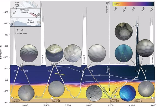 Las observaciones integradas de los ROV iluminan las conexiones entre el hielo, el océano y el fondo marino en una región de la costa del KIS que no se ha excavado recientemente.