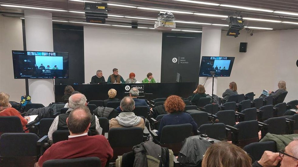 Consell de la Ciutatadania de  Punt