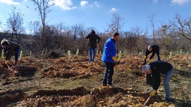 FOXY y Fundación Alcoraz plantan árboles para recuperar los bosques de Zamora tras los incendios.