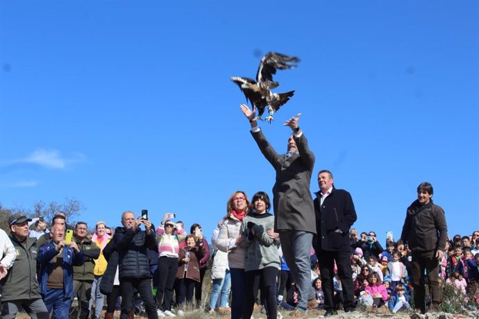 Suelta de un águila imperial ibérica que ha tenido lugar en la sierra San Carlos-Los Molinos en San Carlos del Valle.