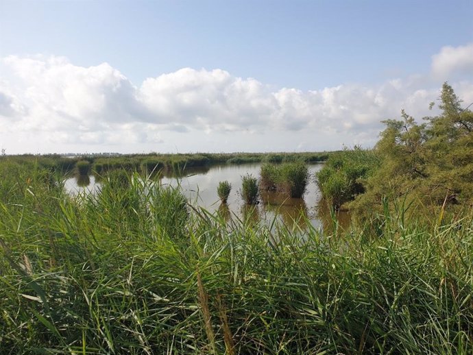 El Delta de lEbre, IBA148, es una de las zonas de alto valor ecológico estudiadas