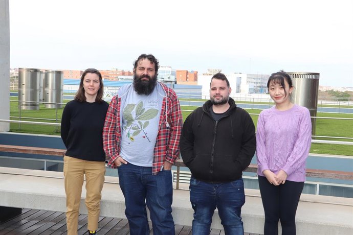 Crean una herramienta para desarrollar nuevas variedades de mijo adaptadas al cambio climático