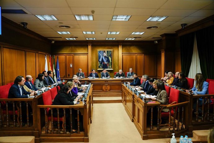 Pleno de la Diputación de Almería.