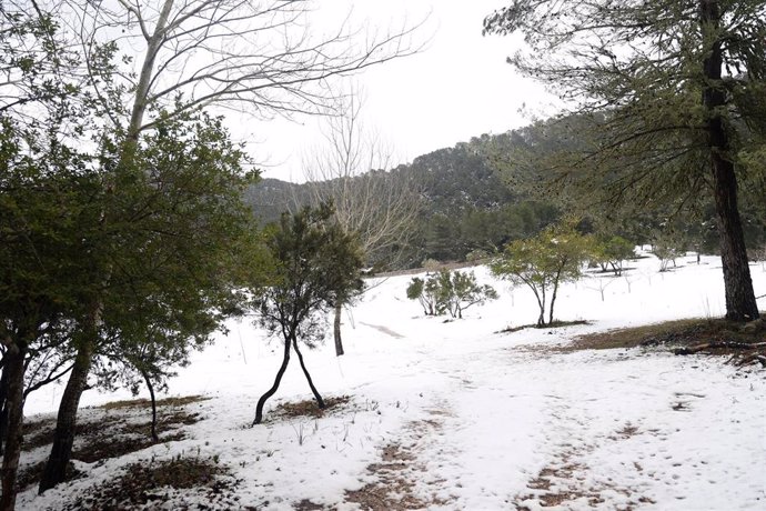Archivo - Restos de nieve en en la Serra de Tramuntana. Archivo. 