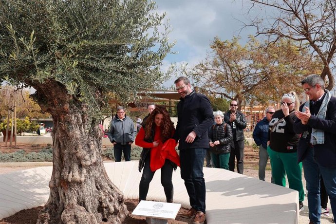 Un nuevo olivo simboliza la plantación de 10.000 árboles nuevos durante los últimos años en Palma