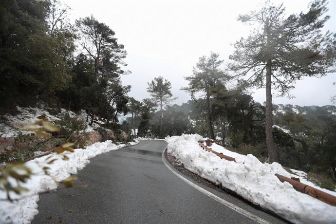 Una carretera nevada, a 2 de marzo de 2023, en Lluc, Mallorca, Baleares (España)