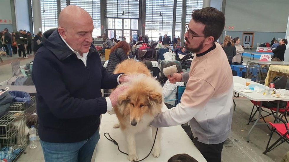 Carnero plantea en 'Fimascota' un catálogo de medidas para hacer de Valladolid una ciudad "amiga" de las mascotas