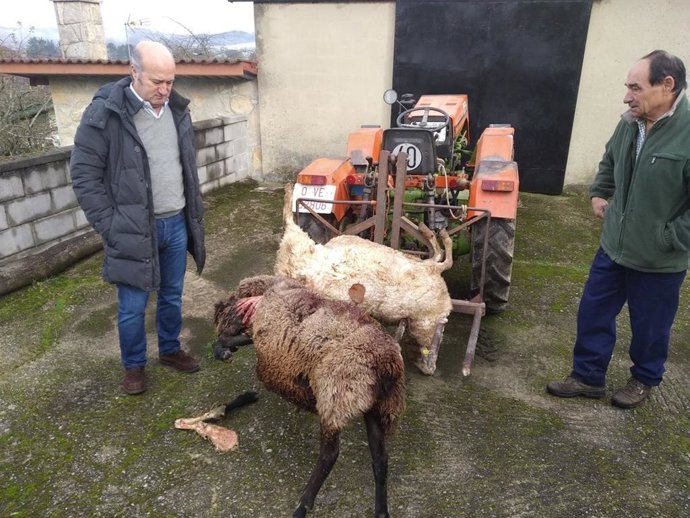 Archivo - El diputado del PP Luis Venta en una imagen de archivo.