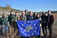 La Junta libera 15 ejemplares de cercetas pardillas en la laguna de Medina en Jerez de la Frontera