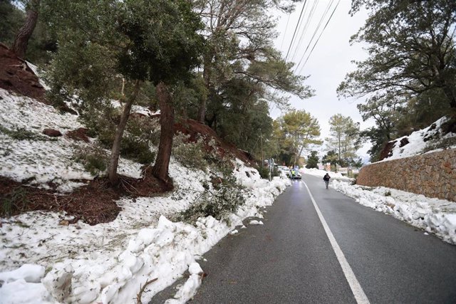 Una carretera nevada, a 2 de marzo de 2023, en Lluc, Mallorca, Baleares (España).