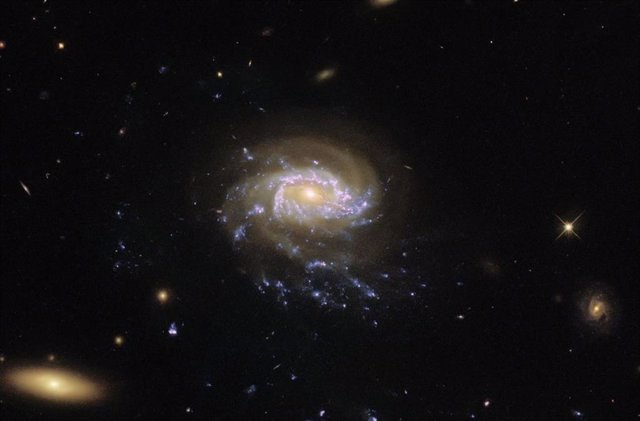 Galaxia medusa JO 201
