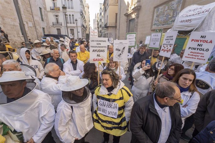 Archivo - Decenas de apicultores y agricultores durante una concentración de las organizaciones profesionales agrarias y entidades relacionadas con el sector apícola de la Comunitat Valenciana, ante las puertas de Les Corts 