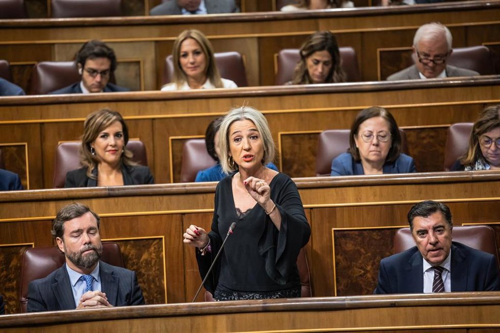 Archivo - La portavoz adjunta de Vox en el Congreso, Inés Cañizares