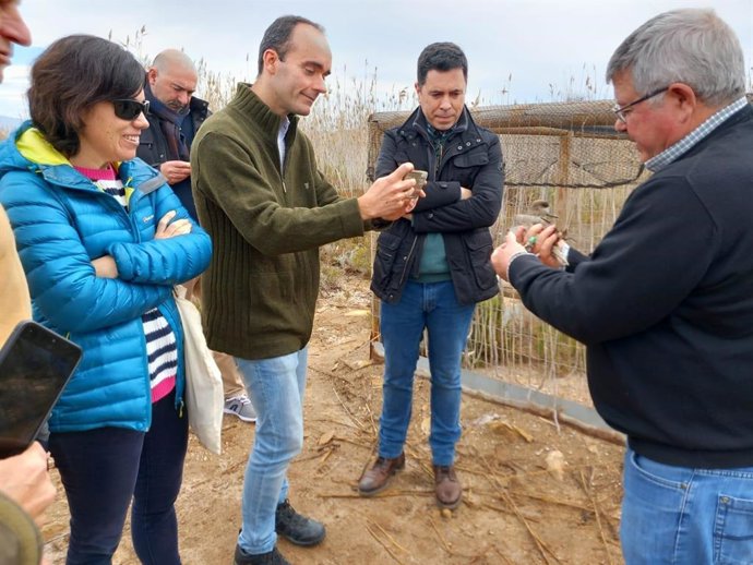 El delegado de Medio Ambiente de Almería fotografía un ejemplar de cerceta pardilla.