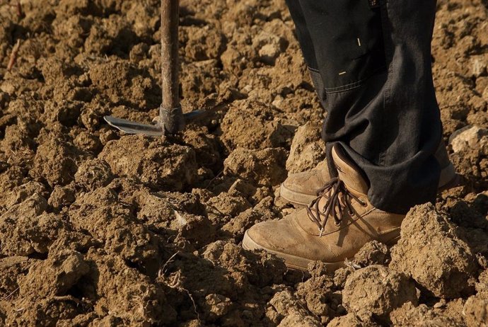 Agricultor en el campo.