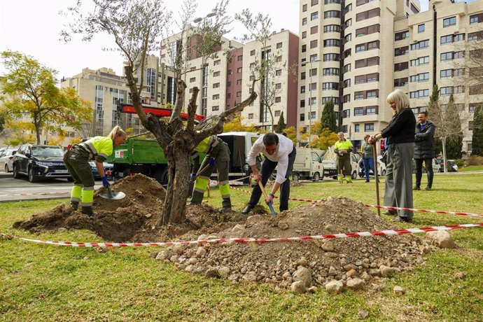 El alcalde de Murcia, José Antonio Serrano, colabora en las tareas de plantación de un árbol