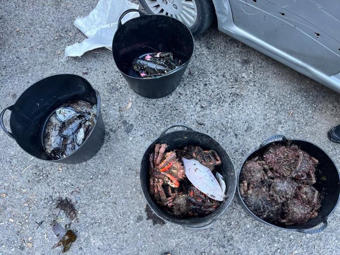 La Policía Autonómica interviene 21 kilos de centolla, 9 de choco y 3 de bogavante a un patrón sin documentación en Marín (Pontevedra)