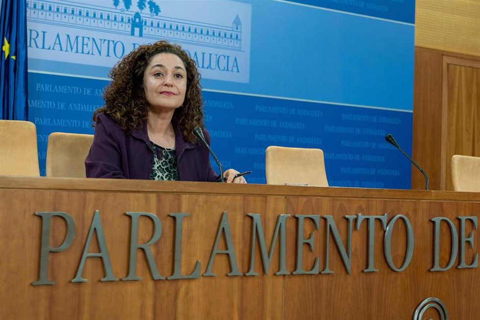La portavoz del grupo Por Andalucía, Inmaculada Nieto, este miércoles en rueda de prensa. 