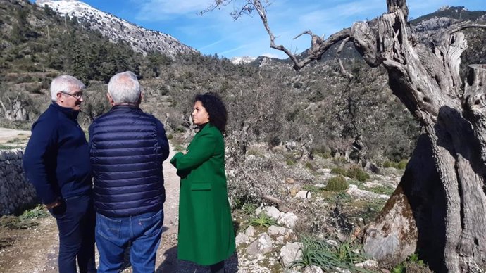 El Consell de Mallorca no descarta ampliar los 1,5 millones previstos para reparar los daños por 'Juliette' en la Serra.