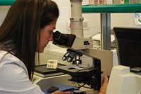Las mujeres representan el 42% del personal investigador de España, según Ciencia