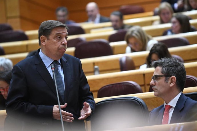 (I-D) El ministro de Agricultura, Pesca y Alimentación, Luis Planas, y el ministro de la Presidencia y Relaciones con las Cortes, Félix Bolaños, durante una sesión de control al Gobierno en el Senado, a 7 de marzo de 2023, en Madrid (España)